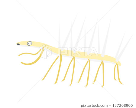 沒有主線的幻覺草波普插畫 沒有主線的幻覺草波普插畫 137208900