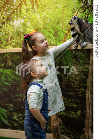 Happy little girl pointing ring tailed lemur wooden railing in tropical indoor zoo with background 137208913