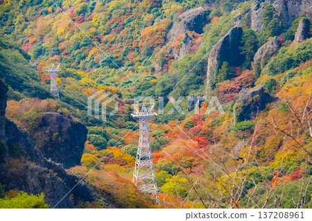 從寒川山頂眺望秋葉 從寒川山頂眺望秋葉 137208961