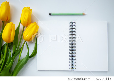 Blank notebook with pencil and fresh yellow tulips on light background flat lay composition Blank notebook with pencil and fresh yellow tulips on light background flat lay composition 137209113