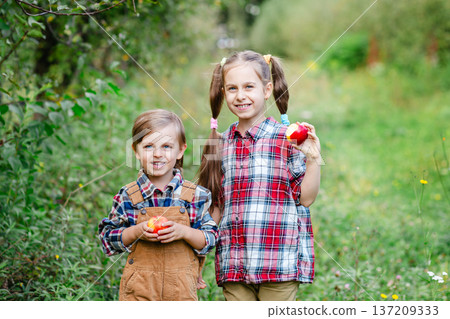Two happy children holding red apples orchard during autumn harvest enjoying fresh organic fruit Two happy children holding red apples orchard during autumn harvest enjoying fresh organic fruit 137209333