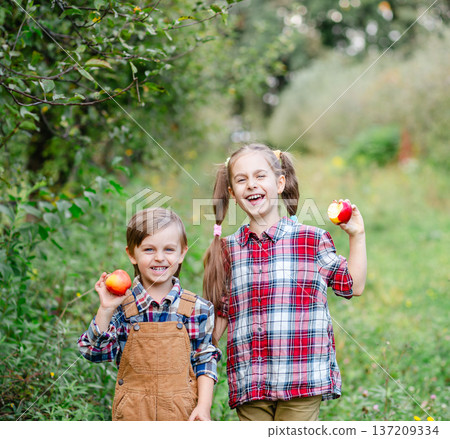 Two happy children holding red apples orchard during autumn harvest enjoying fresh organic fruit Two happy children holding red apples orchard during autumn harvest enjoying fresh organic fruit 137209334