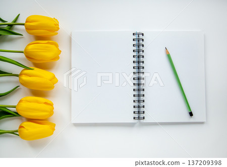 Blank notebook with pencil and fresh yellow tulips on light background flat lay composition 137209398