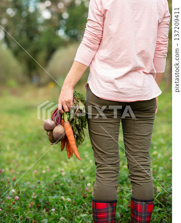 Woman walking orchard holding harvested beets and carrots in hand, showcasing organic vegetables 137209411