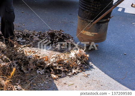 Vacuum machine is collecting leaves trash from the street ground is covered with dry leaves in town setting. 137209580