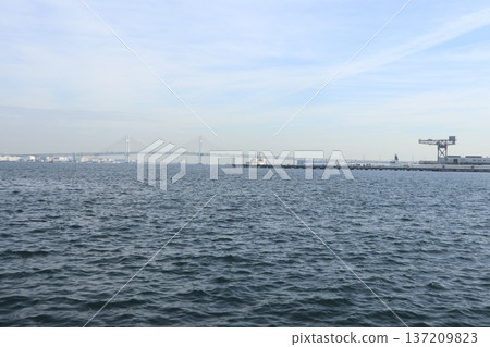 Yokohama Minato Mirai Lingang Park Yokohama Minato Mirai Lingang Park 137209823