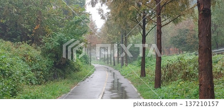 Han River bike path Han River bike path 137210157
