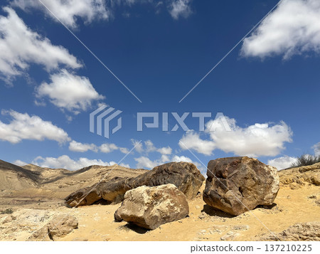 Tree trunk fossils in Makhtesh Gadol Tree trunk fossils in Makhtesh Gadol 137210225