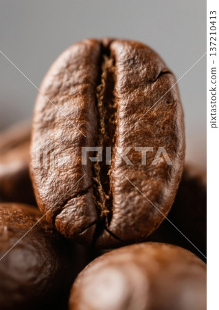 特写咖啡豆素材 137210413