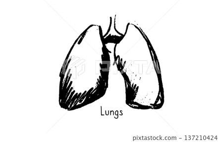 Lungs Sketch Poster 137210424