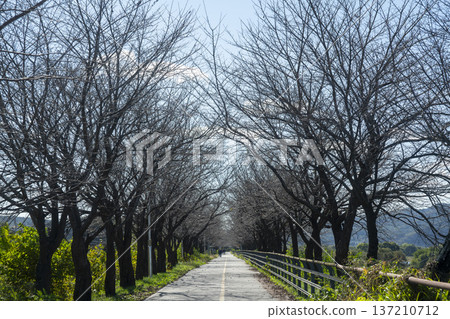 Han River bike path Han River bike path 137210712