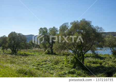 Han River bike path Han River bike path 137210735