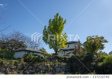 Han River bike path 137210740