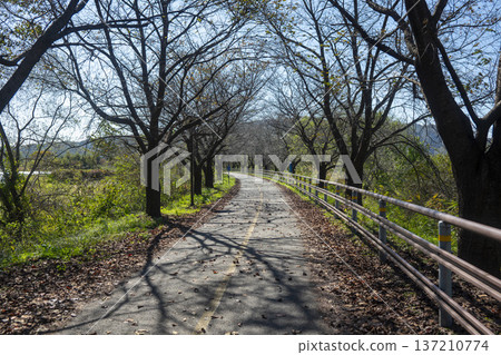 Han River bike path 137210774