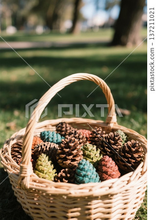 草地上篮子里的彩色松果 草地上篮子里的彩色松果 137211021