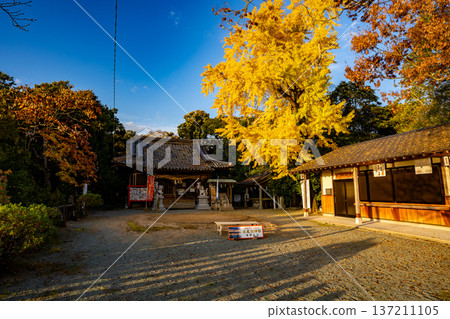 前往長劍神社和鳥居（浮岐市） 137211105