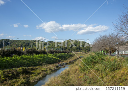 Han River bike path 137211159