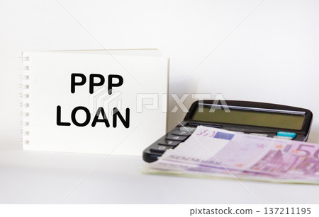 The conceptual words of PPP, loans under the salary protection program on blocks The conceptual words of PPP, loans under the salary protection program on blocks 137211195