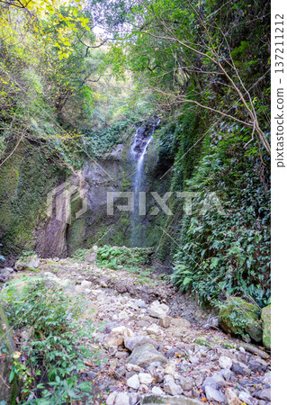 View of Meyama Falls (Aira City) View of Meyama Falls (Aira City) 137211212