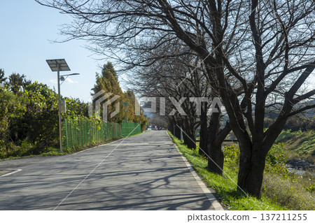 Han River bike path Han River bike path 137211255