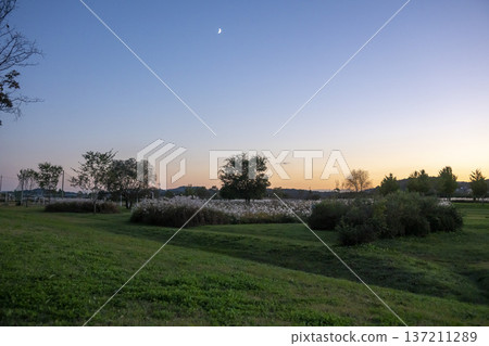 Han River bike path 137211289