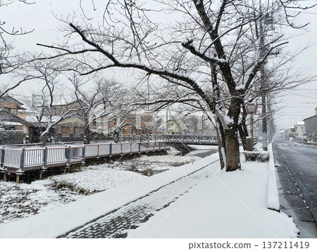 白雪皚皚的卡賽灌溉渠景觀(橫幅構圖) 白雪皚皚的卡賽灌溉渠景觀(橫幅構圖) 137211419