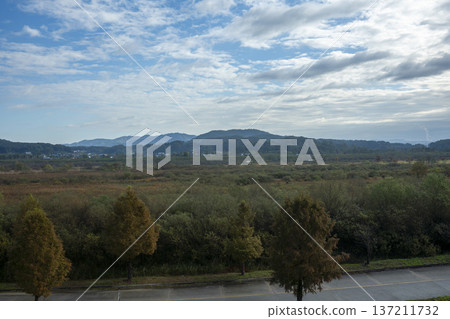 Han River bike path 137211732