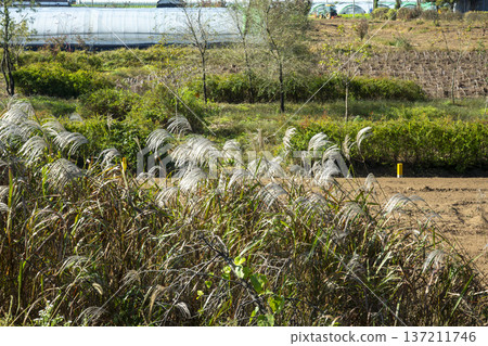 Han River bike path Han River bike path 137211746