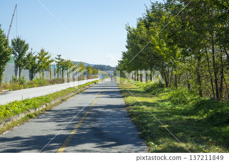 Han River bike path 137211849