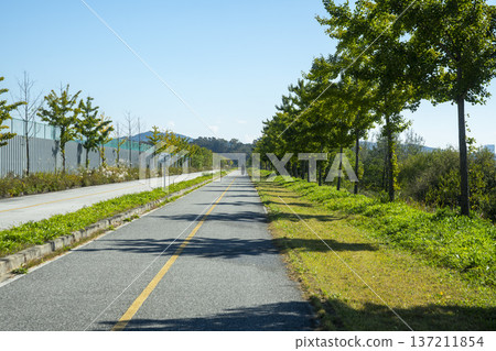 Han River bike path 137211854