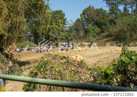Han River bike path 137211892