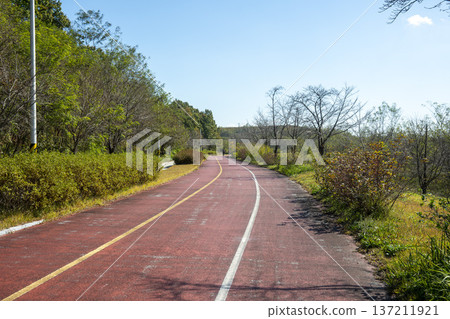 Han River bike path 137211921