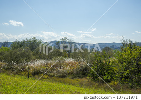 Han River bike path 137211971