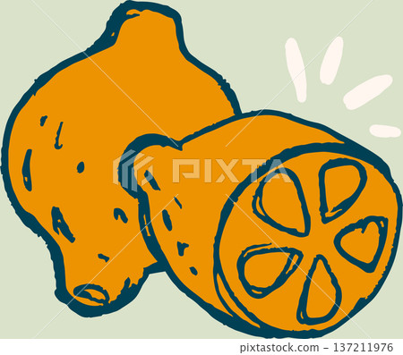 Lemon citrus fruit hand drawn 137211976