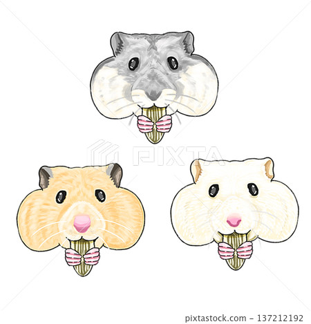 三種倉鼠 137212192