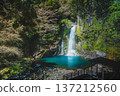 The largest waterfall of Kawazu Seven Falls in Izu, "Otaki" | A spectacular sight of water flowing down columnar joints and an emerald green pool 137212560