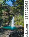 The largest waterfall of Kawazu Seven Falls in Izu, "Otaki" | A spectacular sight of water flowing down columnar joints and an emerald green pool 137212562