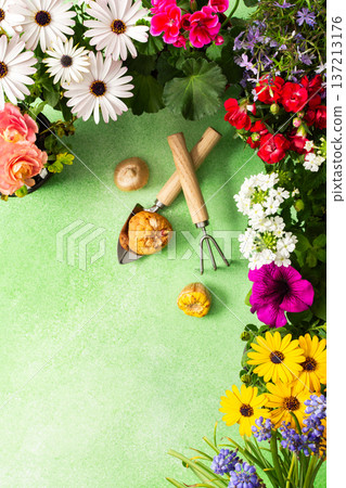 A vibrant balcony is decorated with various spring flowers in full bloom. Gardening tools are placed among the flowers, highlighting a fresh and lively spring ambiance A vibrant balcony is decorated with various spring flowers in full bloom. Gardening tools are placed among the flowers, highlighting a fresh and lively spring ambiance 137213176