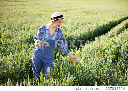A woman in overalls and a hat uses a tablet to examine crops in a vast green field under sunlight A woman in overalls and a hat uses a tablet to examine crops in a vast green field under sunlight 137213314