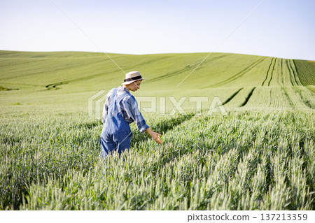 A woman in overalls and a hat gently touches the stalks of a young wheat field under a clear blue sky 137213359