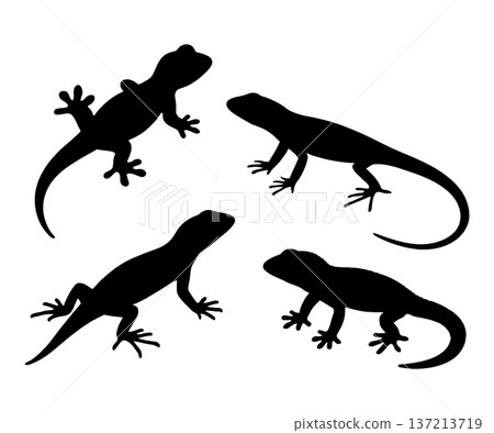 set of black lizard silhouettes vector illustration 137213719