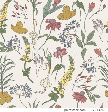 Seamless pattern with hand drawn immune tea herbs 137213765