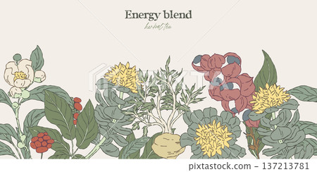 Hand drawn seamless border with energy herbs 137213781