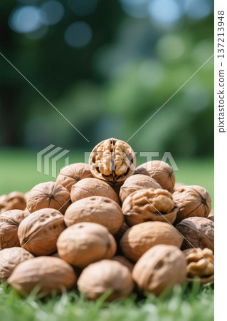 草地上堆叠的核桃特写 137213948