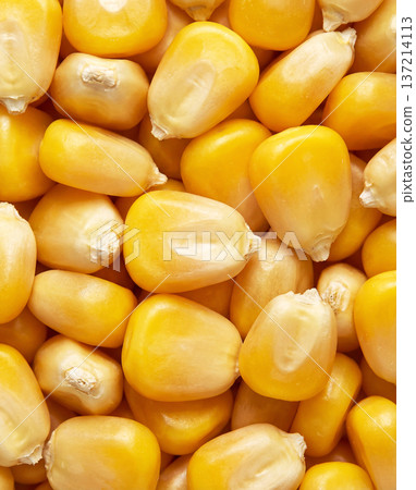 Close-up detail of corn kernels for a varied and healthy diet 137214113