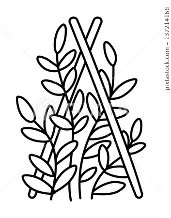 Vector black and white garden plant on stilts. Baby greenery with leaves and sticks isolated on white background. Line spring illustration, coloring page. Gardening icon Vector black and white garden plant on stilts. Baby greenery with leaves and sticks isolated on white background. Line spring illustration, coloring page. Gardening icon 137214168