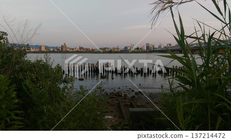 淀川、樁基，以及一個疲憊的早晨搜尋 137214472