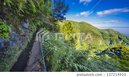 Levada do Caldeirao Verde, Madeira, Portugal Levada do Caldeirao Verde, Madeira, Portugal 137214910