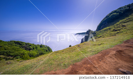 Fog Seascape from Mystical Fanal Forest, Madeira, Portugal Fog Seascape from Mystical Fanal Forest, Madeira, Portugal 137214918