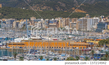 Panoramic View from Cathedral of Palma, Spain Panoramic View from Cathedral of Palma, Spain 137214942